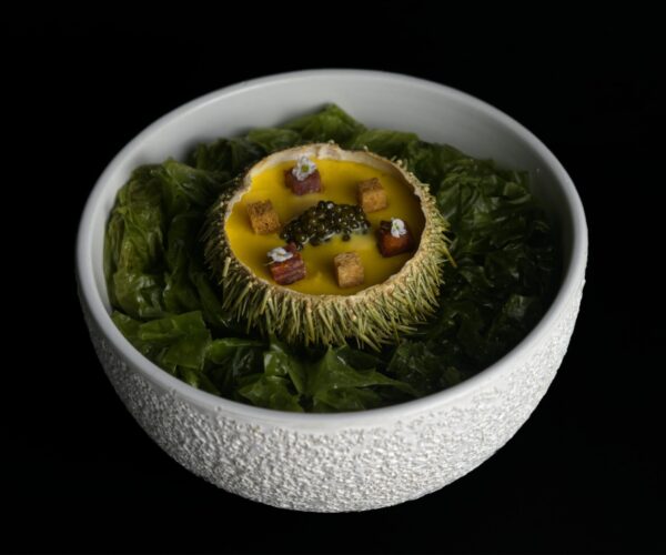 WhatsApp Image 2025-04-16 at 11.28.53 (3)