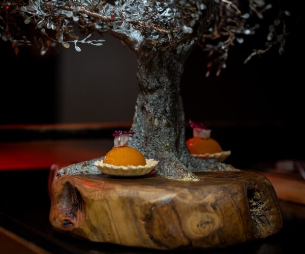 WhatsApp Image 2025-04-16 at 11.36.11 (1)