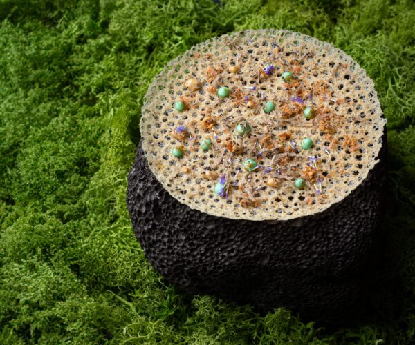 WhatsApp Image 2025-04-16 at 12.23.40