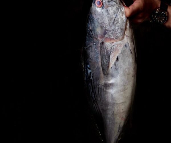 WhatsApp Image 2025-08-29 at 13.21.29 (3)